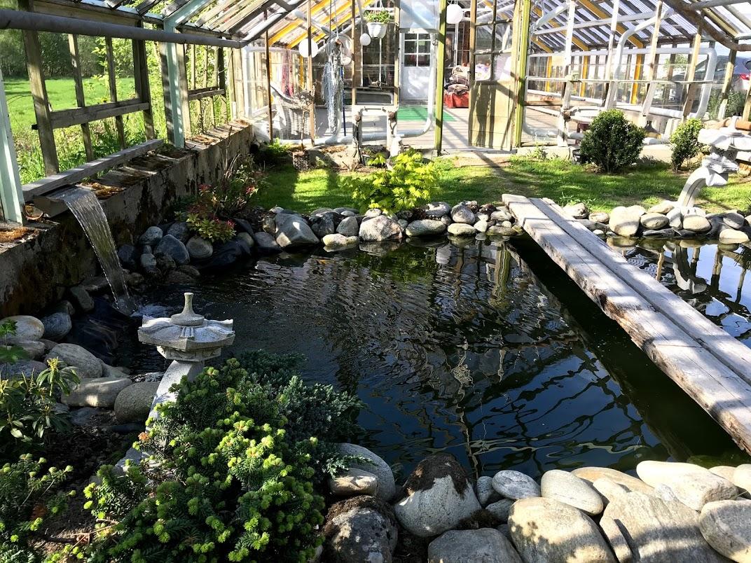 Drivhus som hageanlegg med dam med fiskar i.