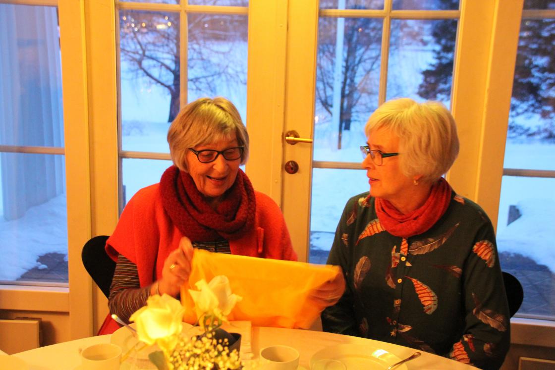 Anne-Marie og Britt inspiserer et gult, kult vervenett!