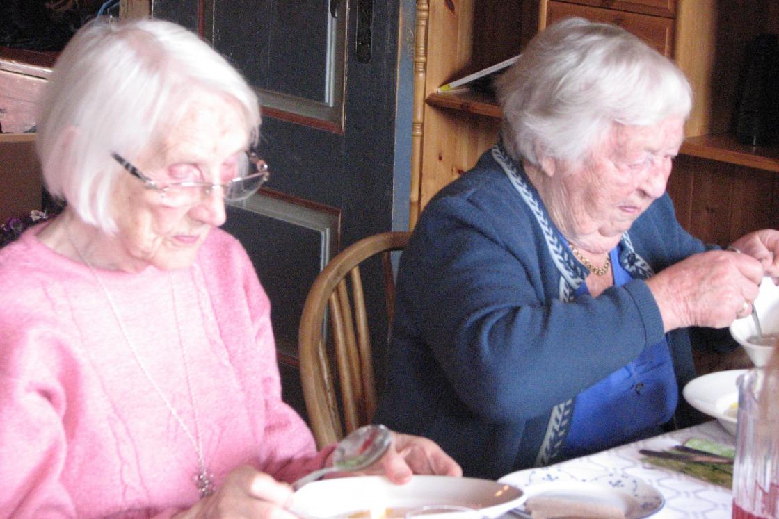 To veteranar ,- Lilly og Nikka !