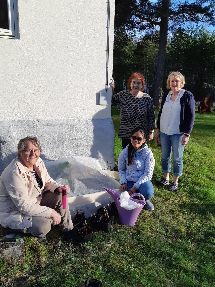 Oppfølging og besøk