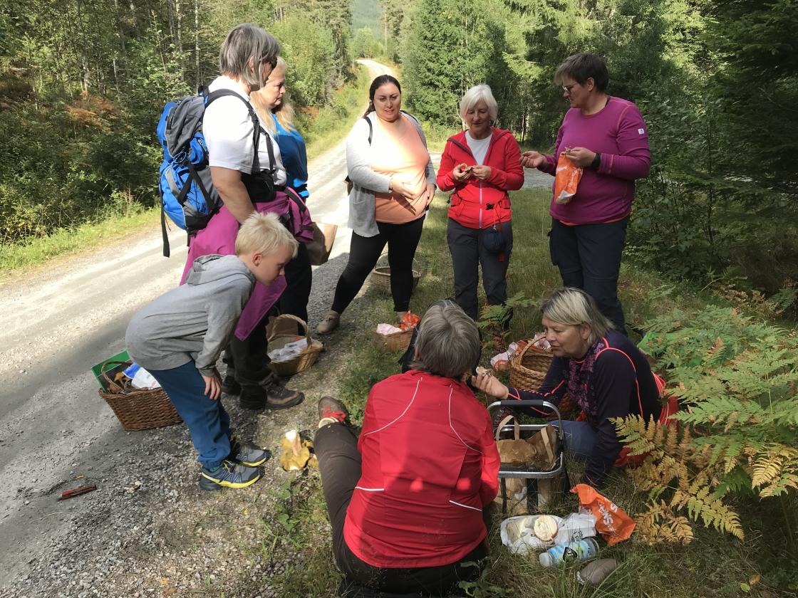 Masse spennende funn