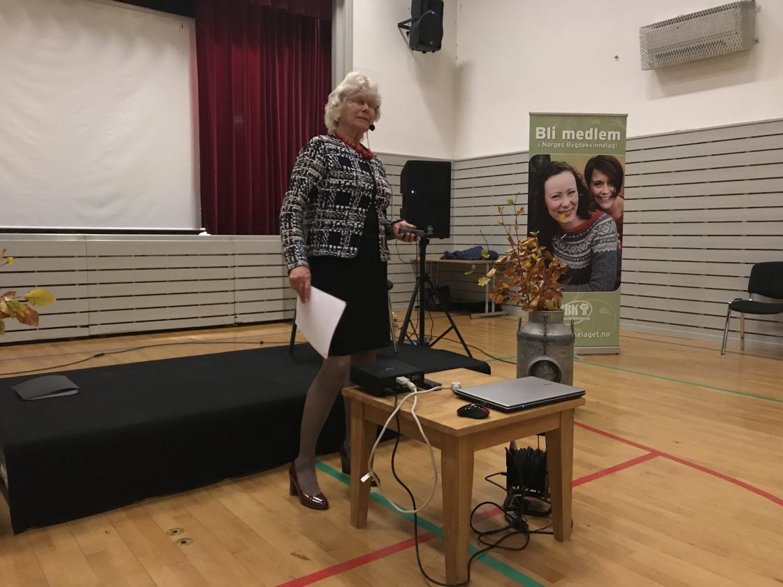 Kjellaug Meisingset; resymé over lagets aktiviteter og møter