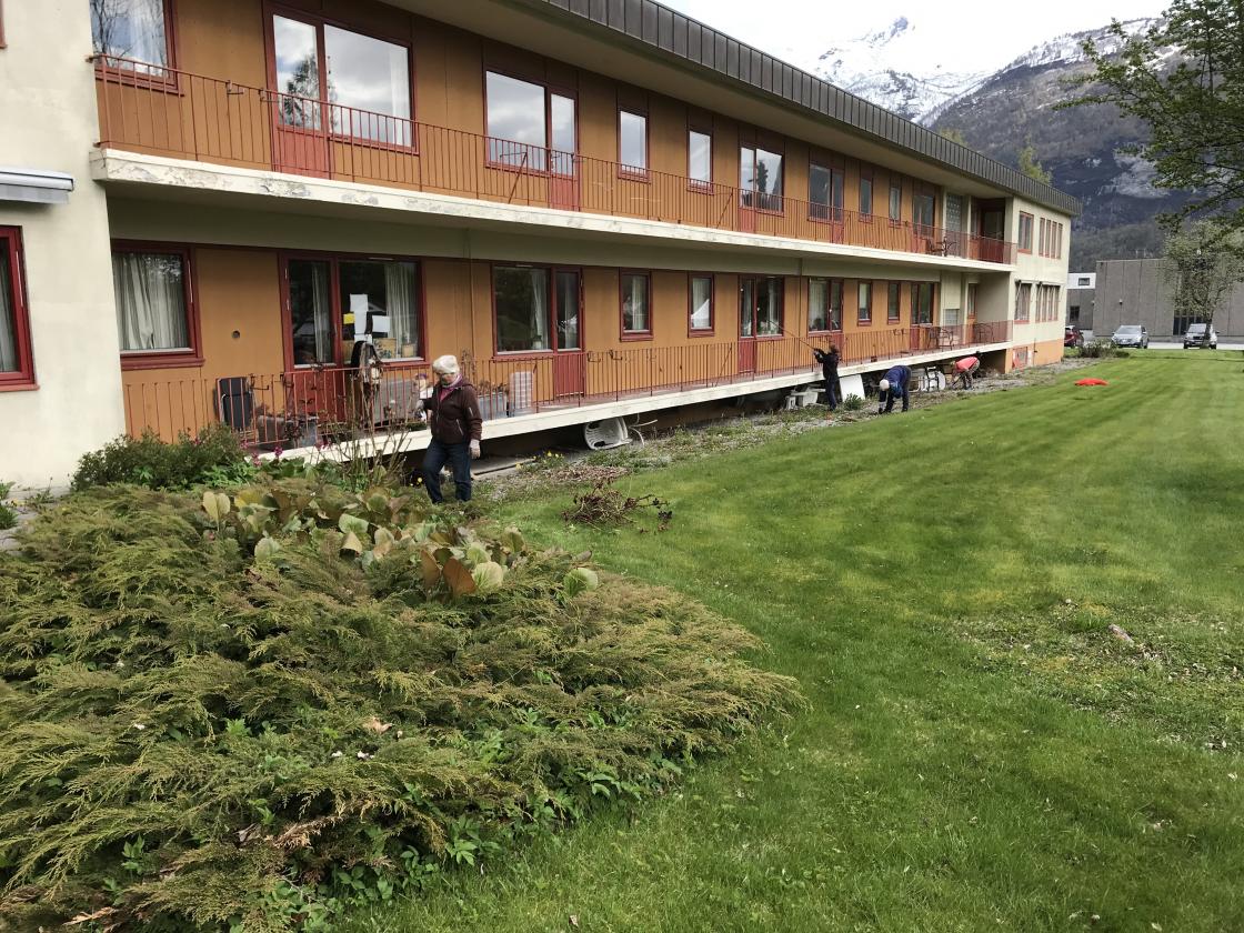 Anne klipte rosene, andre hakka ugras!