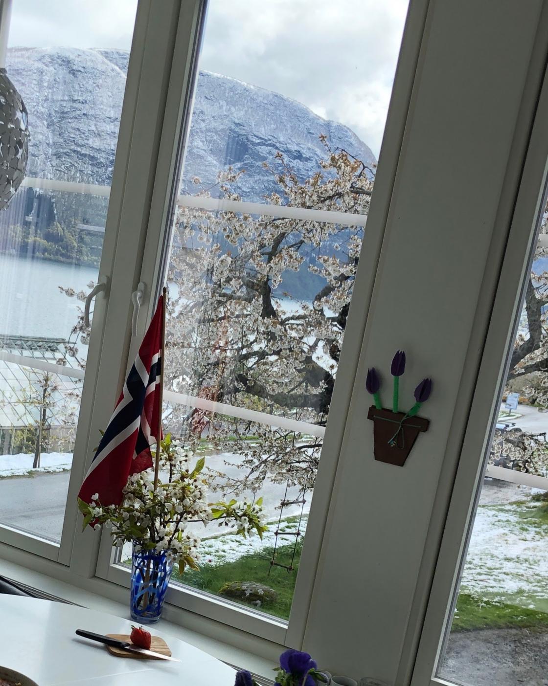 Flagg og blømande frukttre på Linge!