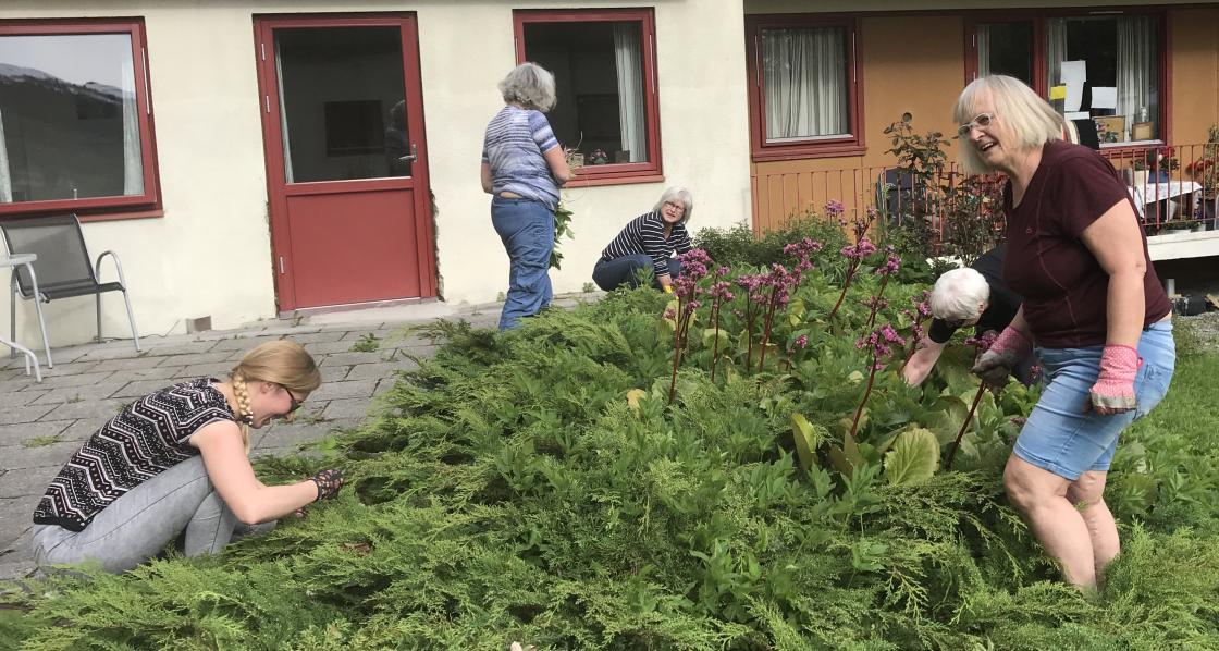 Jystina, til venstre, - elska å luke ugras !