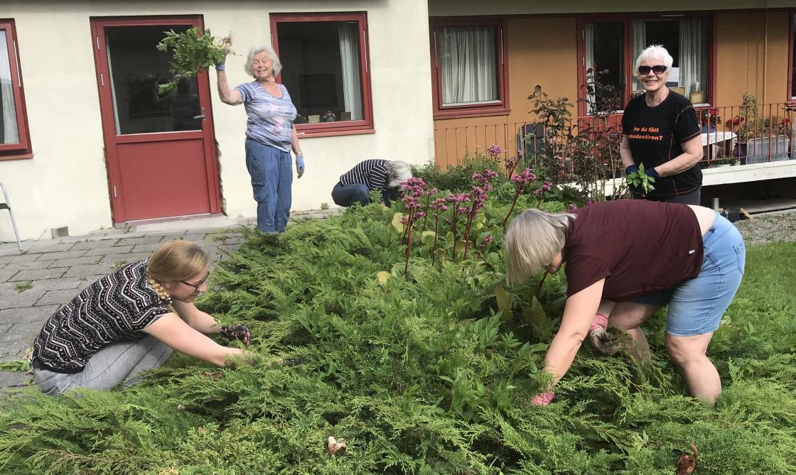 Skvalderkål! - Here we come! - Liv med fin bukett!