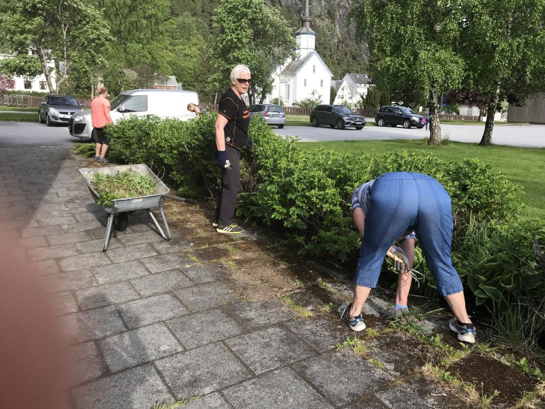 Baken i veret! Desse damene ga seg ikkje med ugraset!