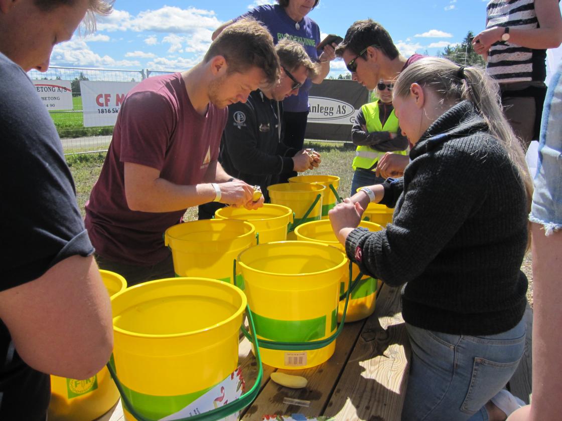 Ivrige potetskrellere