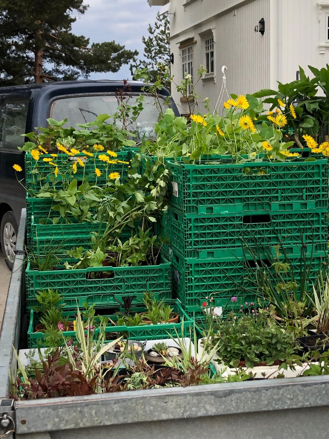 Øst-Modum Bygdekvinnelag grøntloppemarked Vikersund