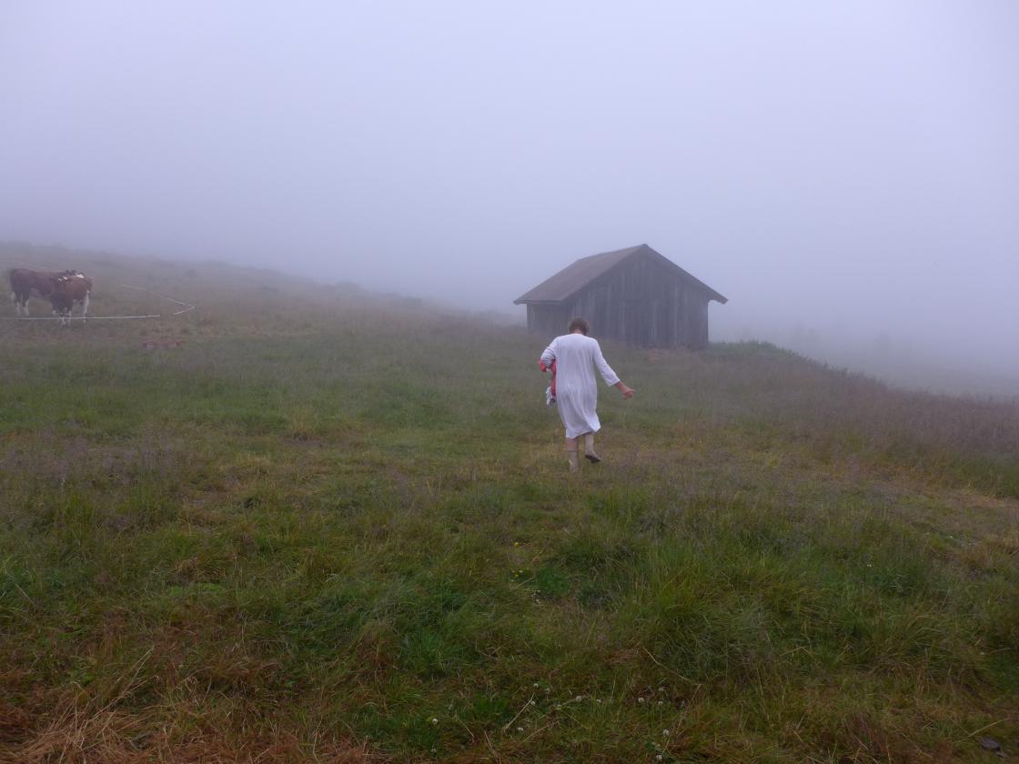 Noen måtte i full fart ut i fjøset!.