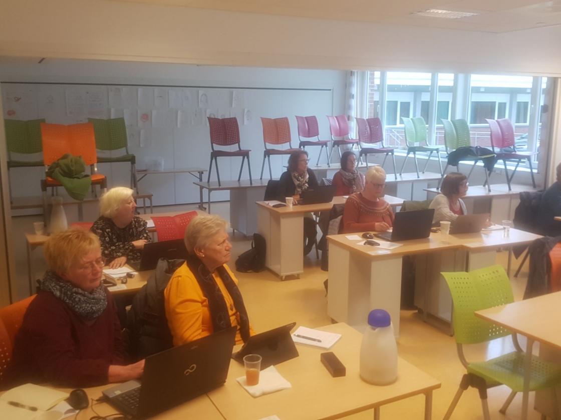 Det var 12 bygdekvinner frå 8 lokallag fekk opplæring på nettsider.