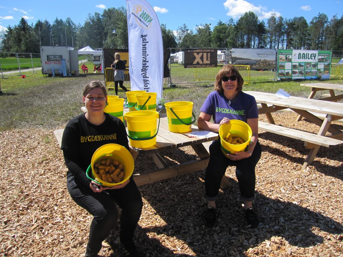 ØBK skal kåre Østfolds beste potetskreller