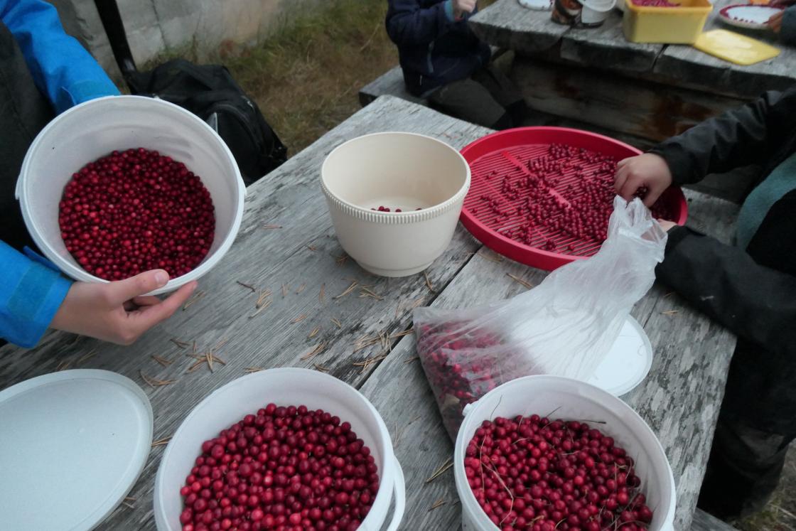 Bærene ble rensket ute.