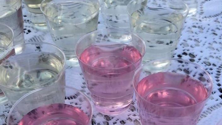 Saft av mjødurt og geitrams