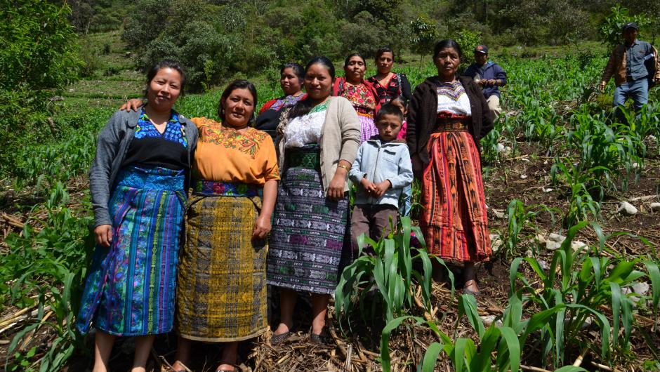 Småbønder i Guatemala som kjemper for kaffens og sin egen framtid. Foto: Utviklingsfondet.