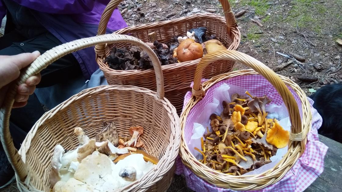 Soppjegere velger forskjellig