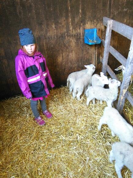 Sømna. Rakel Ellingsen. Johanna må også få kos med lamman.