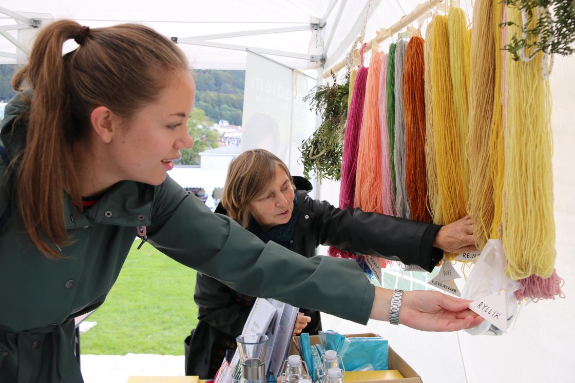 Spennende plantefarging. Foto: Bjørg Strømme.
