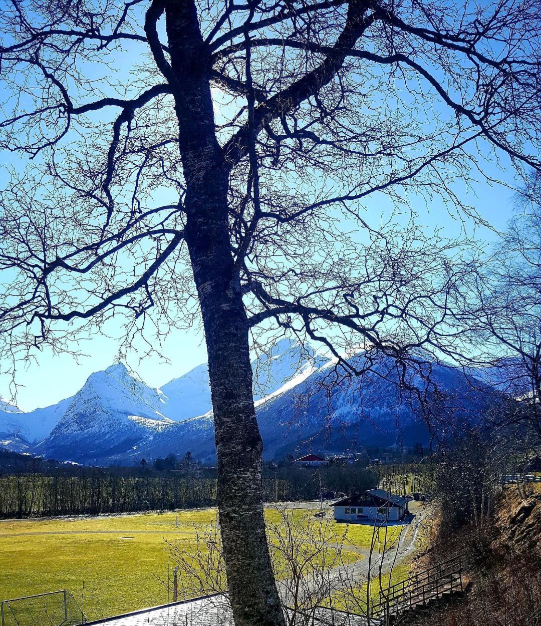 Tresfjorden Bygdekvinnelag
