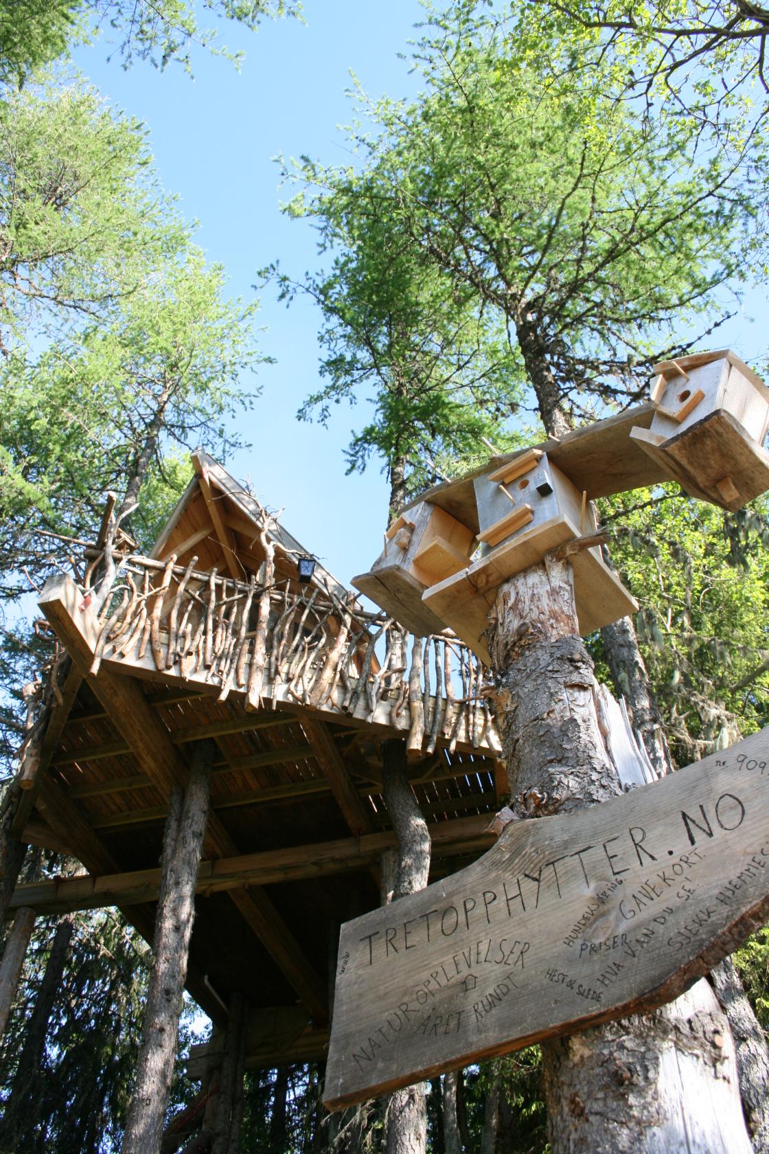 Nå kan du vinne overnatting i en tretopphytte. Foto: tretopphytter.no