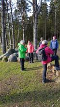 Sammen med aktive bygdekvinner får du gode opplevelser i Vagleskogen. 