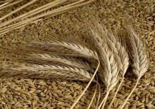 Har du et prosjekt som går innunder kriteriene - søk nå!