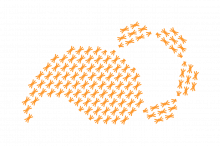 Inkludering og mangfold