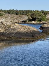 Flott skjærgård rundt Tvedestrand