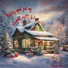 Riktig god jul!