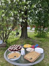 Foto; Vang Bygdekvinnelag, Anne Rustad