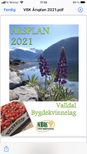 Årsplan 2021