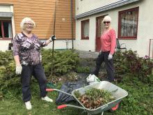 Liv og Anne, skvalderkålet må berre passe seg!