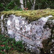 Steinlav til plantefarging