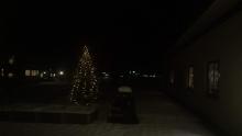 Juletreet i Sansehagen! Gitt som gåve av Lions.