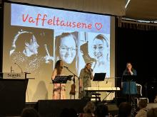 vaffeltausene