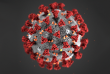 koronavirus