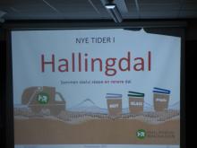 Nye tider i Hallingdal,