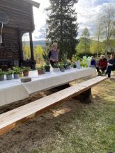 Auksjonarius Brynhild har mange planter å velge i