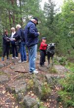 &quot;Sti for Øye på Fossnes&quot;, ved Arnadal